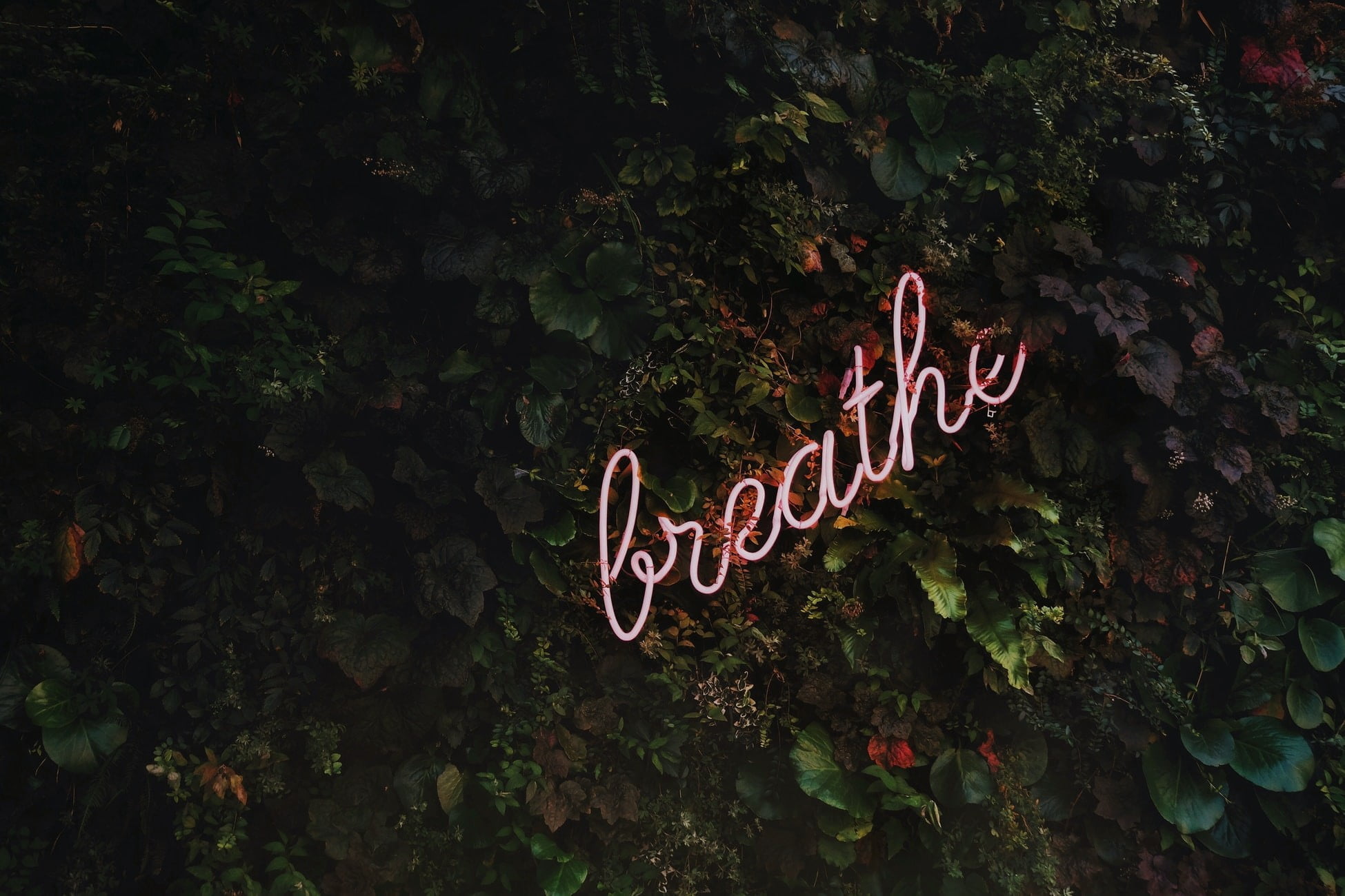 Blog Detox: Everyday Life… Breathe